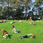 １１月フローランテ