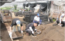 就労継続Ｂ型事業の写真